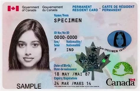 pr card renewal urgent|urgent pr card renewal application.